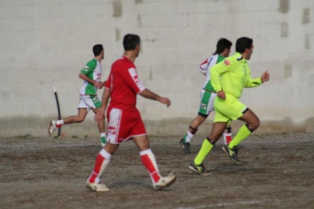 PARNASSIUS - PETTINEO (105).jpg