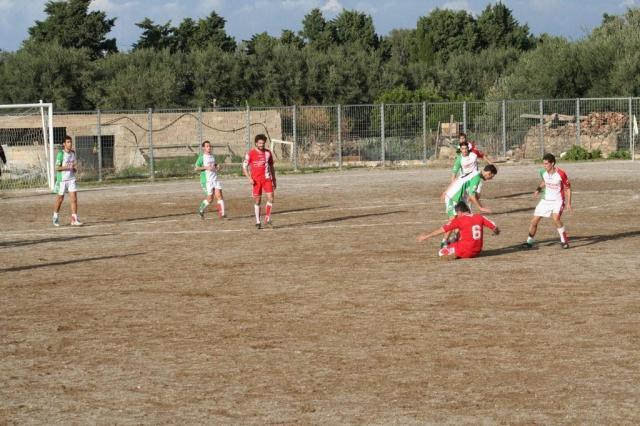 PARNASSIUS - PETTINEO (118).jpg