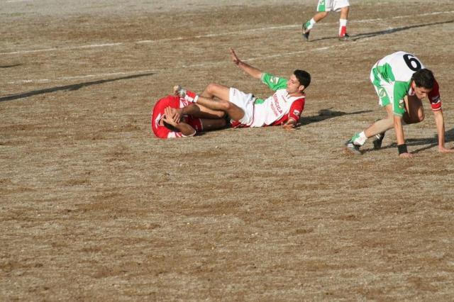 PARNASSIUS - PETTINEO (119).jpg