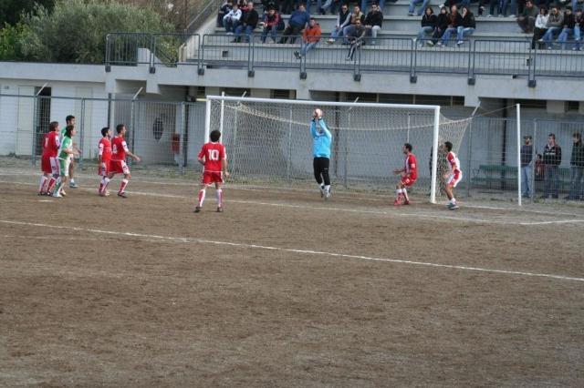 PARNASSIUS - PETTINEO (155).jpg