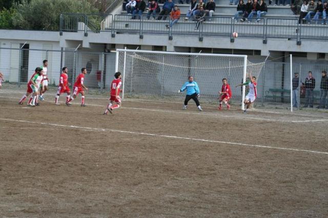 PARNASSIUS - PETTINEO (156).jpg