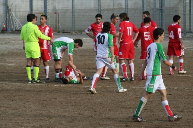 PARNASSIUS - PETTINEO (158).jpg