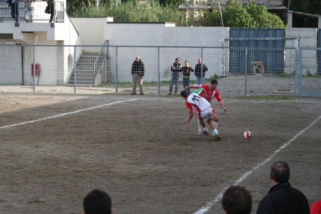 PARNASSIUS - PETTINEO (181).jpg