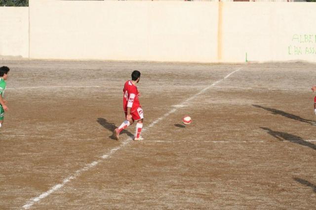 PARNASSIUS - PETTINEO (186).jpg