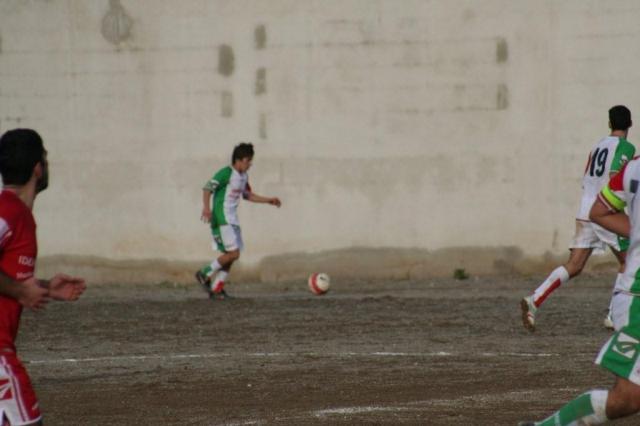 PARNASSIUS - PETTINEO (194).jpg