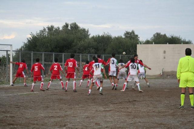 PARNASSIUS - PETTINEO (229).jpg