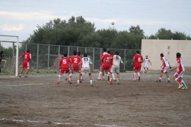 PARNASSIUS - PETTINEO (238).jpg