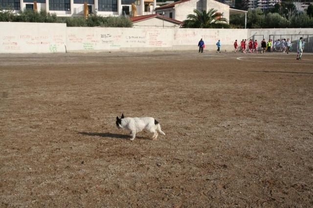 PARNASSIUS - PETTINEO (62).jpg