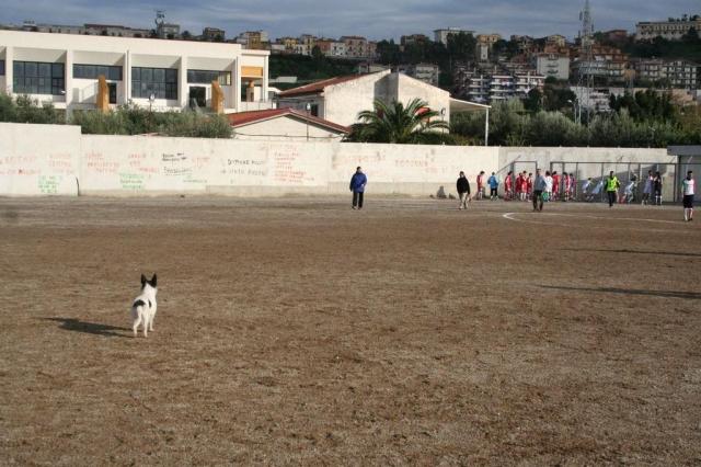 PARNASSIUS - PETTINEO (63).jpg