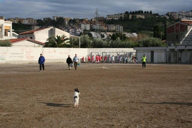 PARNASSIUS - PETTINEO (64).jpg