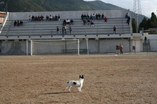 PARNASSIUS - PETTINEO (68).jpg