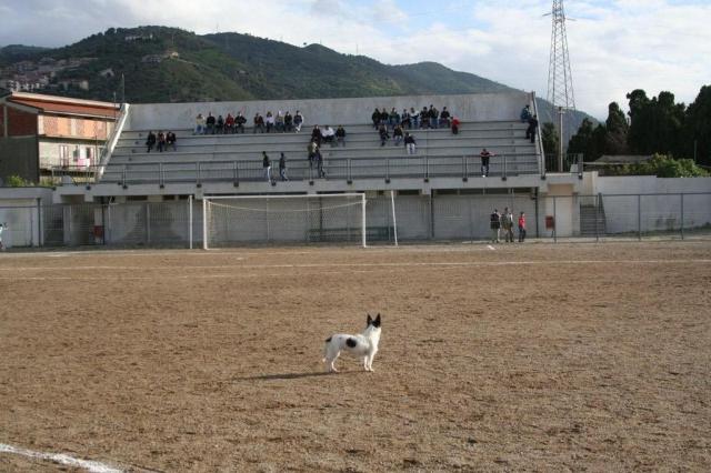 PARNASSIUS - PETTINEO (69).jpg