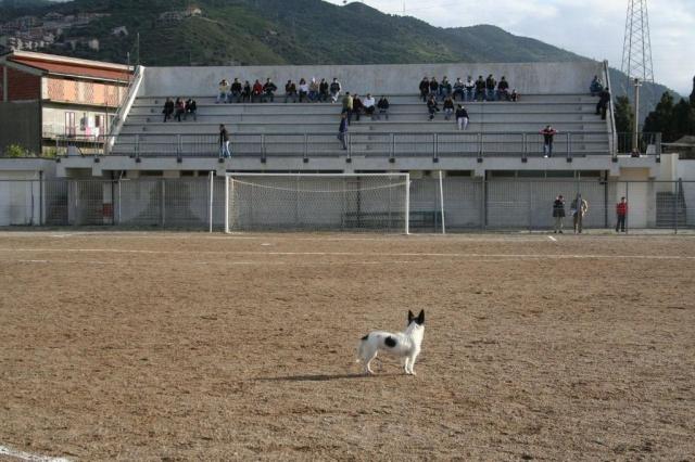 PARNASSIUS - PETTINEO (70).jpg