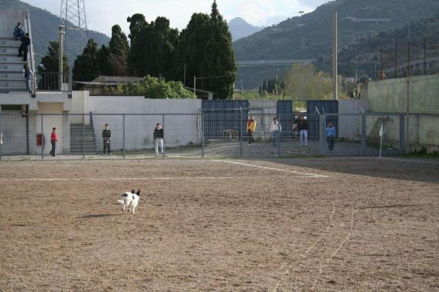 PARNASSIUS - PETTINEO (72).jpg