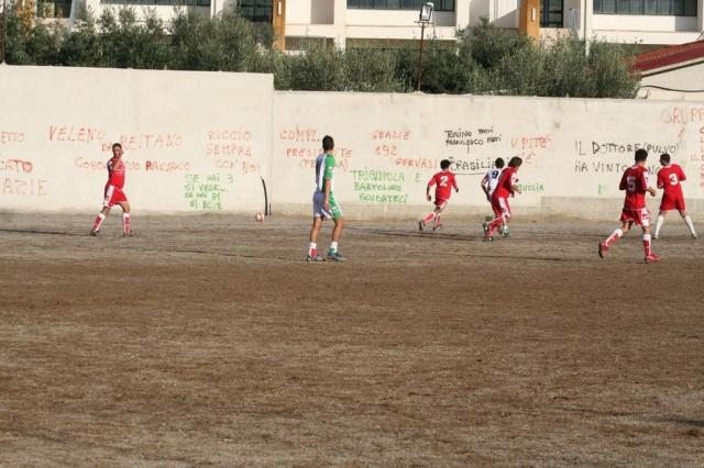 PARNASSIUS - PETTINEO (91).jpg