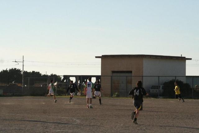 parnassius - motta d affermo (42).jpg