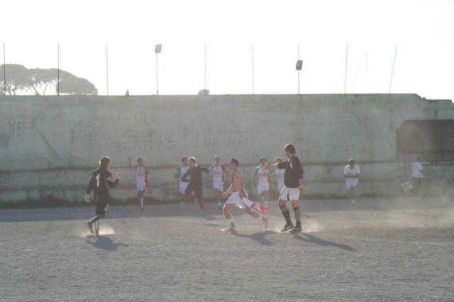 parnassius - motta d affermo (67).jpg