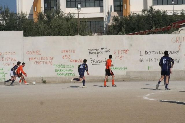 parnassius castel di lucio (114).jpg