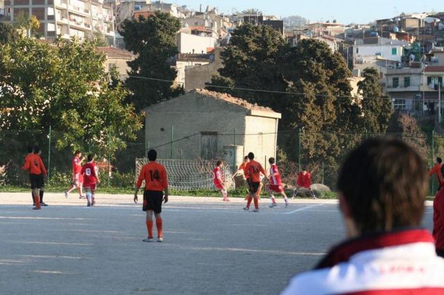 PETTINEO - PARNASSIUS (102).jpg