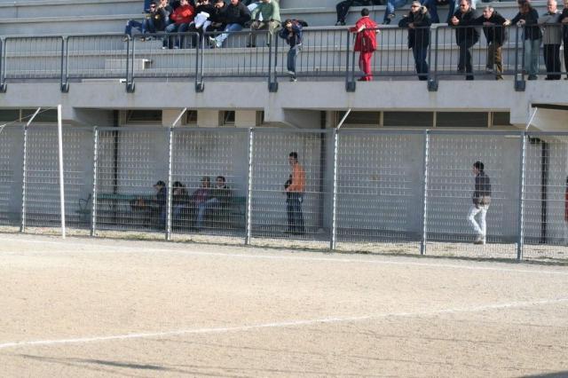 parnassius castel di lucio (120).jpg