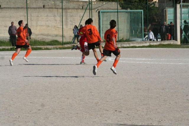 PETTINEO - PARNASSIUS (114).jpg