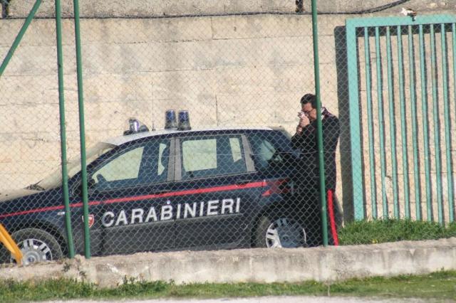 PETTINEO - PARNASSIUS (115).jpg