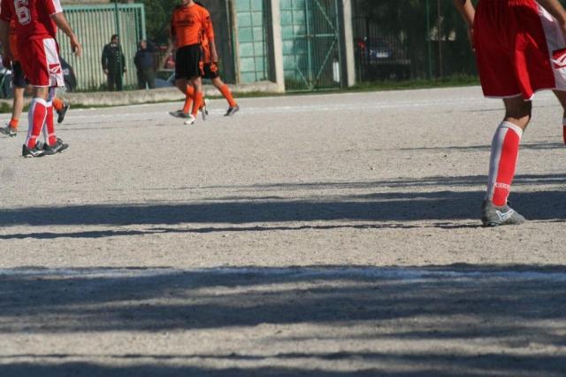 PETTINEO - PARNASSIUS (120).jpg