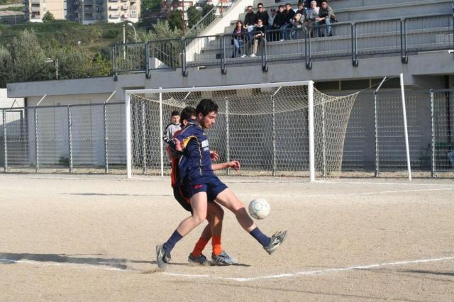 parnassius castel di lucio (143).jpg