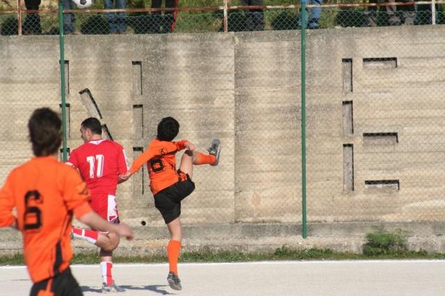 PETTINEO - PARNASSIUS (142).jpg