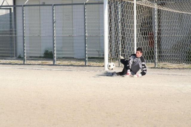 parnassius castel di lucio (165).jpg