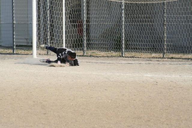 parnassius castel di lucio (166).jpg