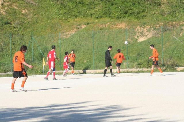 PETTINEO - PARNASSIUS (147).jpg