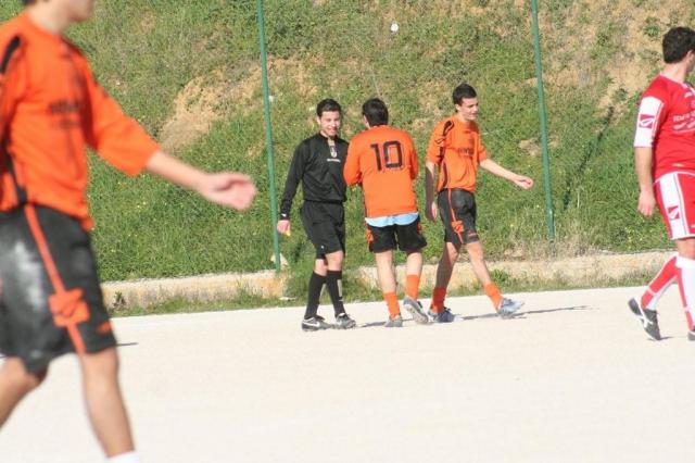 PETTINEO - PARNASSIUS (172).jpg