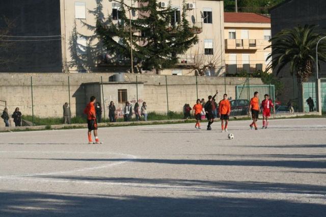 PETTINEO - PARNASSIUS (175).jpg