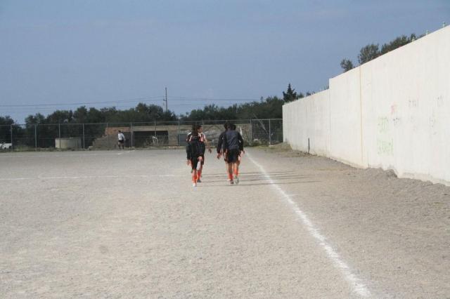 parnassius castel di lucio (6).jpg