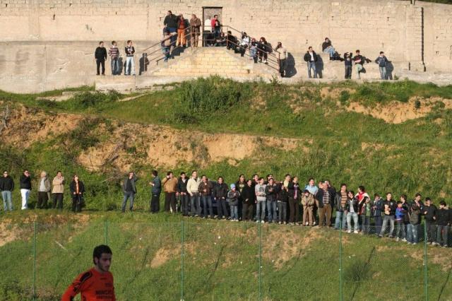 PETTINEO - PARNASSIUS (204).jpg