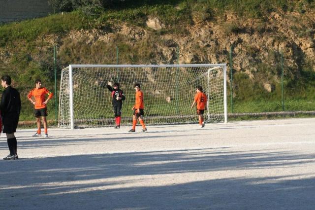 PETTINEO - PARNASSIUS (22).jpg