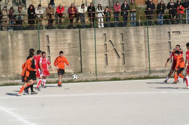 PETTINEO - PARNASSIUS (220).jpg