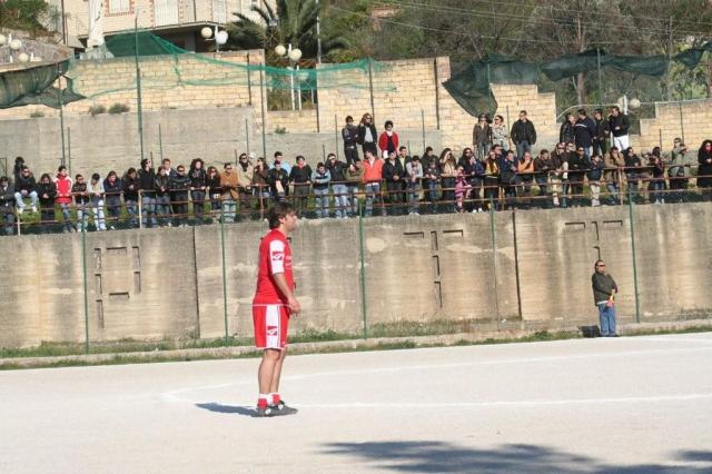 PETTINEO - PARNASSIUS (221).jpg