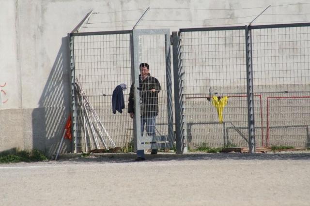 parnassius castel di lucio (81).jpg