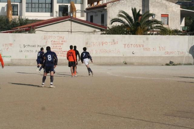 parnassius castel di lucio.jpg