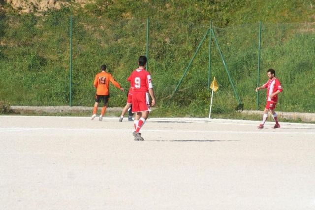 PETTINEO - PARNASSIUS (241).jpg