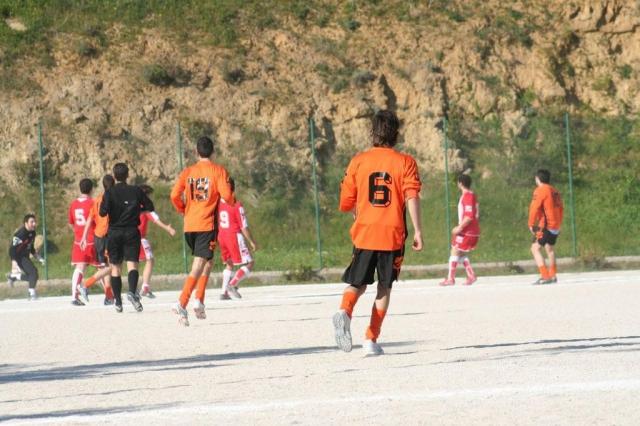 PETTINEO - PARNASSIUS (243).jpg