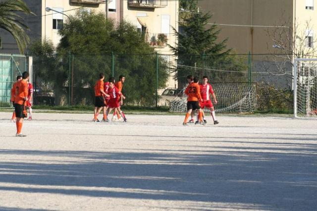 PETTINEO - PARNASSIUS (251).jpg