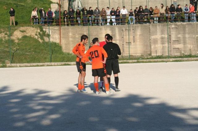 PETTINEO - PARNASSIUS (252).jpg