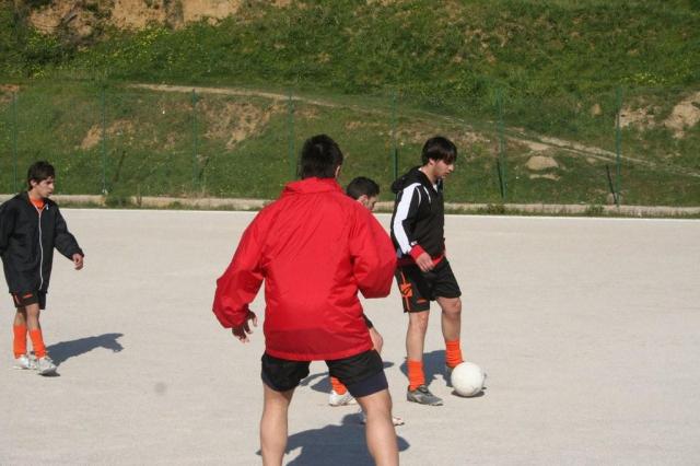 PETTINEO - PARNASSIUS (30).jpg