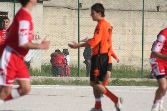 PETTINEO - PARNASSIUS (43).jpg