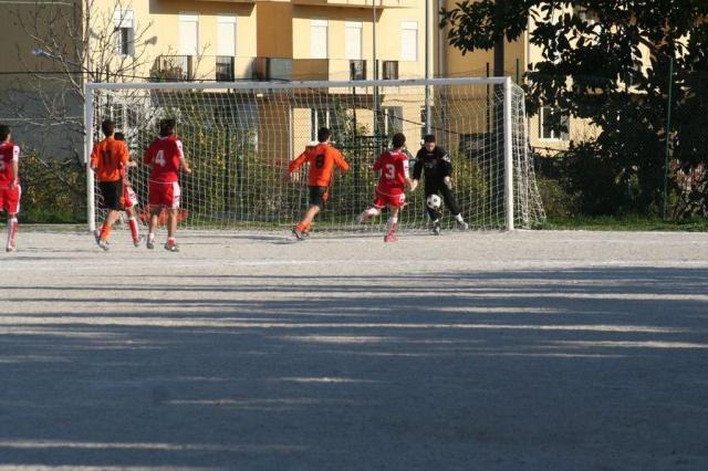 PETTINEO - PARNASSIUS (46).jpg