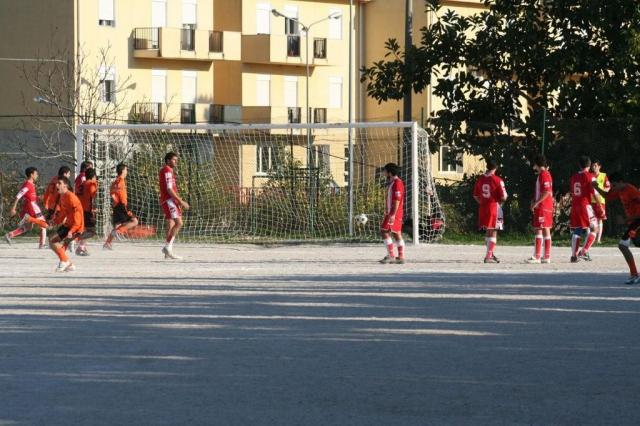 PETTINEO - PARNASSIUS (47).jpg