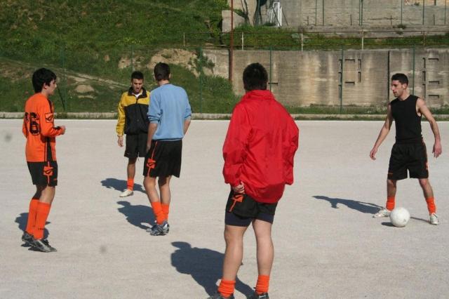 PETTINEO - PARNASSIUS (5).jpg